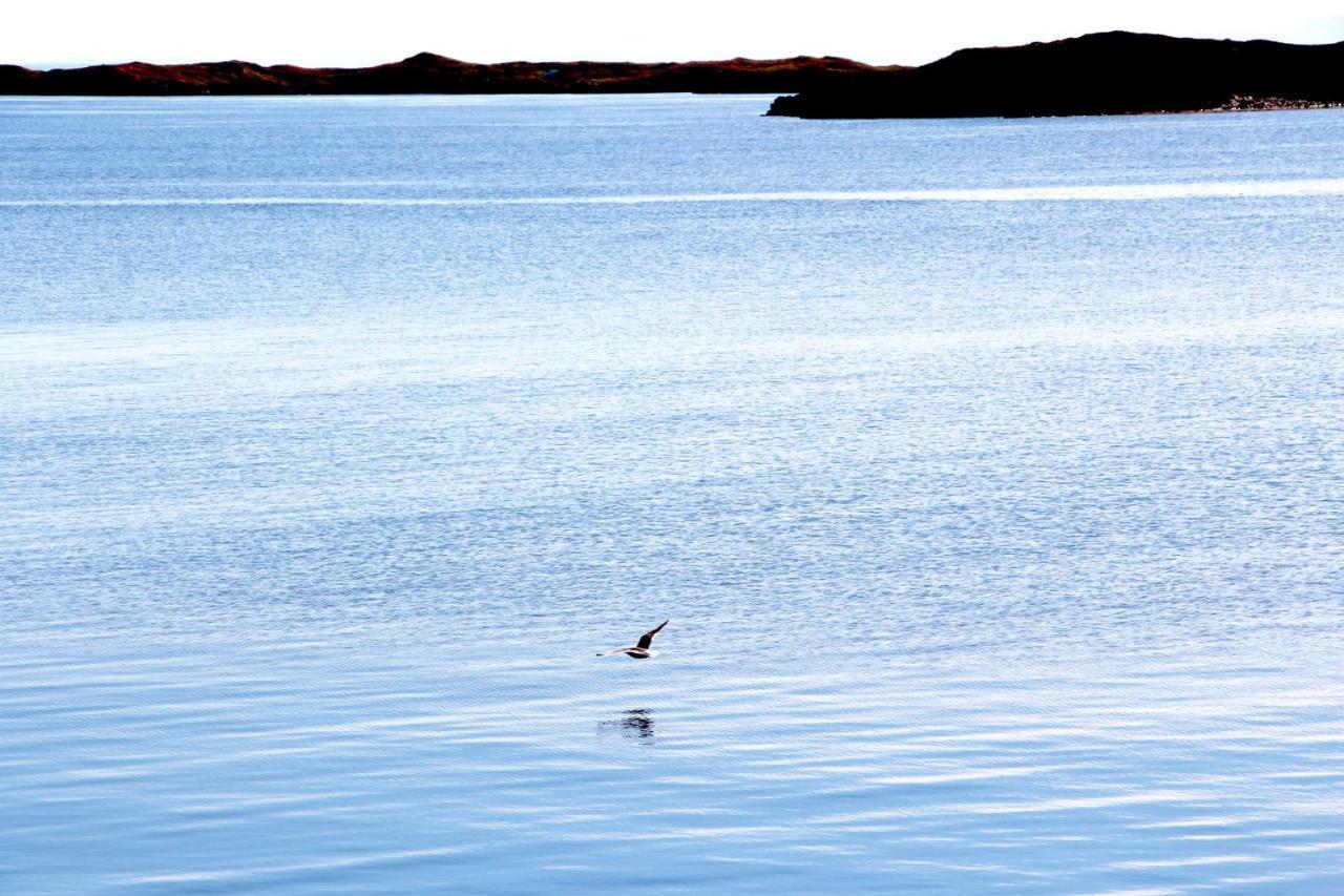 Mar Guesthouse Stykkishólmur Buitenkant foto